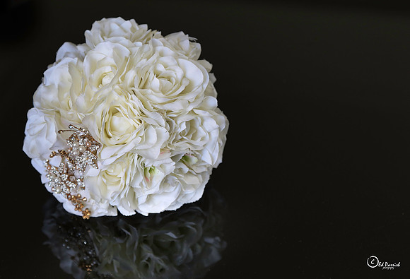 Shrophire Wedding at Albrighton Hall